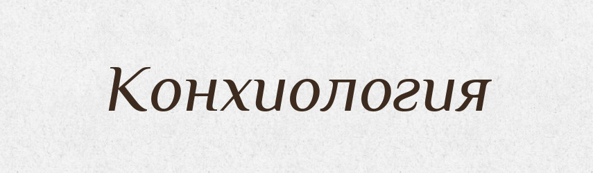 Конхиология — Російсько-український академічний словник (А–П)