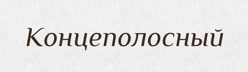 Концеполосный — Російсько-український академічний словник (А–П)