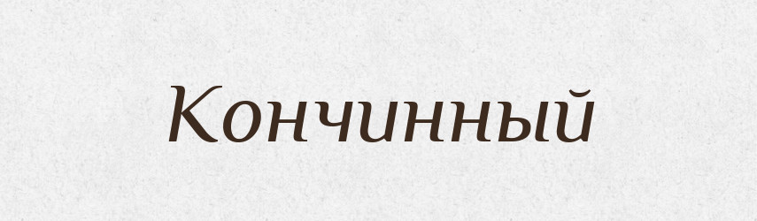 Кончинный — Російсько-український академічний словник (А–П)