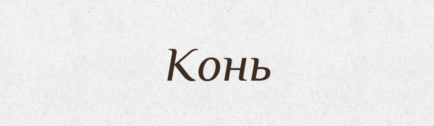 Конь — Російсько-український академічний словник (А–П)