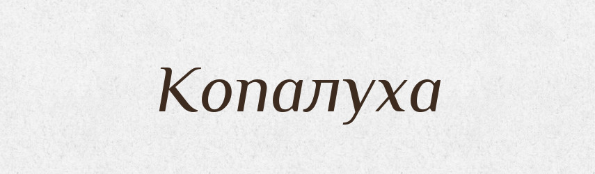 Копалуха — Російсько-український академічний словник (А–П)
