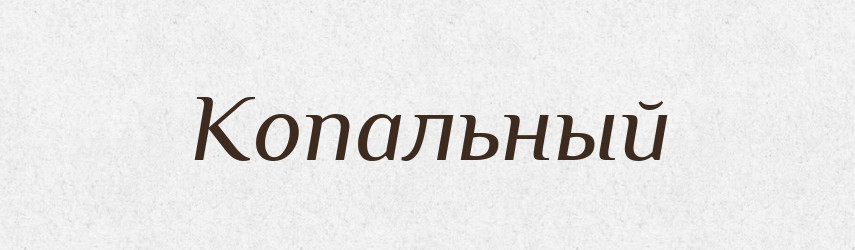 Копальный — Російсько-український академічний словник (А–П)
