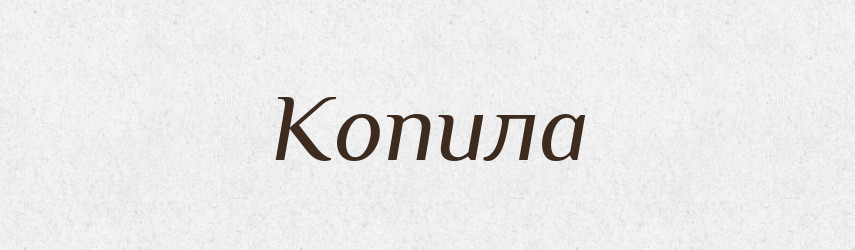 Копила — Російсько-український академічний словник (А–П)