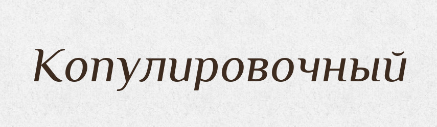 Копулировочный — Російсько-український академічний словник (А–П)