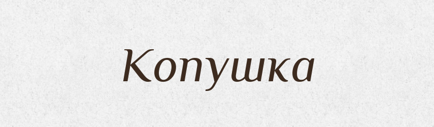 Копушка — Російсько-український академічний словник (А–П)