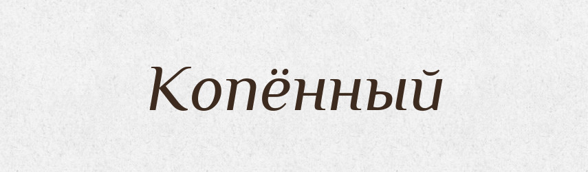 Копённый — Російсько-український академічний словник (А–П)