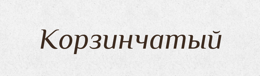 Корзинчатый — Російсько-український академічний словник (А–П)