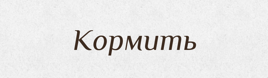 Кормить — Російсько-український академічний словник (А–П)