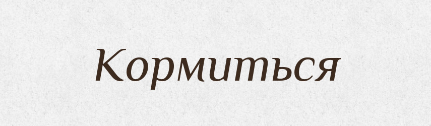 Кормиться — Російсько-український академічний словник (А–П)
