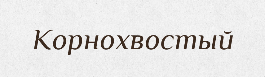 Корнохвостый — Російсько-український академічний словник (А–П)