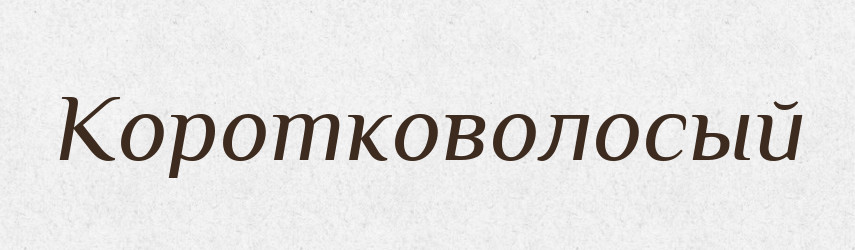 Коротковолосый — Російсько-український академічний словник (А–П)