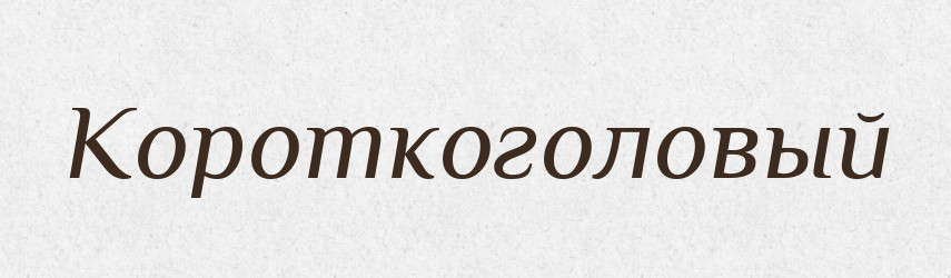 Короткоголовый — Російсько-український академічний словник (А–П)