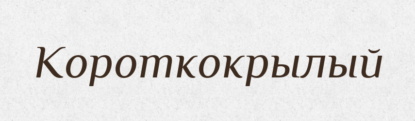 Короткокрылый — Російсько-український академічний словник (А–П)