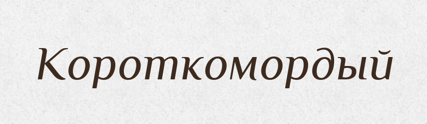 Короткомордый — Російсько-український академічний словник (А–П)
