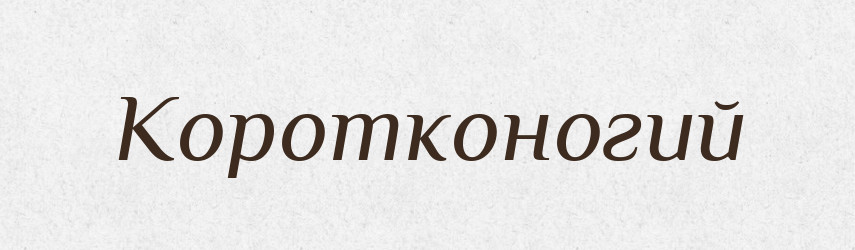 Коротконогий — Російсько-український академічний словник (А–П)