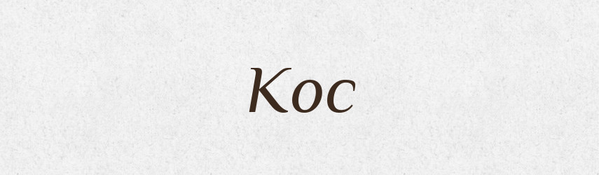Кос — Російсько-український академічний словник (А–П)