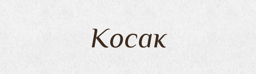 Косак — Російсько-український академічний словник (А–П)