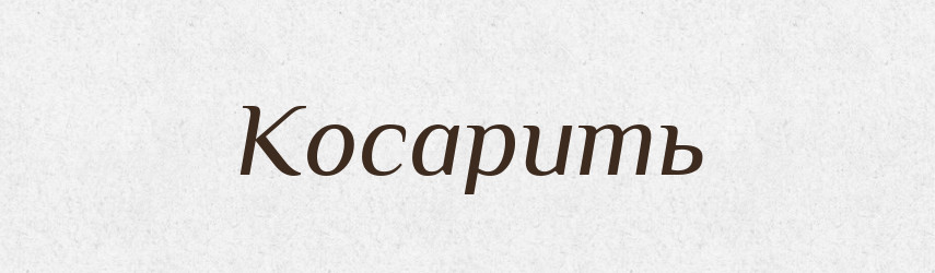 Косарить — Російсько-український академічний словник (А–П)