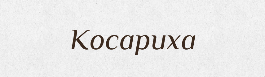 Косариха — Російсько-український академічний словник (А–П)