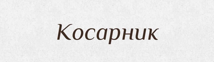 Косарник — Російсько-український академічний словник (А–П)