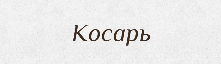 Косарь — Російсько-український академічний словник (А–П)