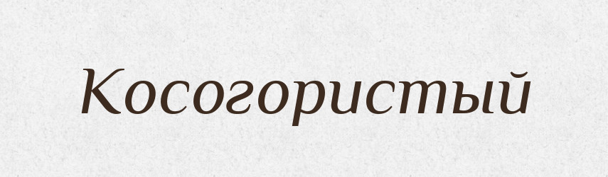 Косогористый — Російсько-український академічний словник (А–П)