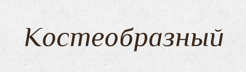Костеобразный — Російсько-український академічний словник (А–П)