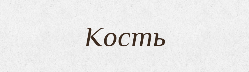 Кость — Російсько-український академічний словник (А–П)