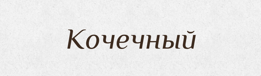 Кочечный — Російсько-український академічний словник (А–П)