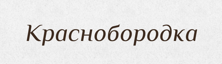 Краснобородка — Російсько-український академічний словник (А–П)