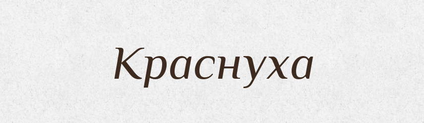 Краснуха — Російсько-український академічний словник (А–П)