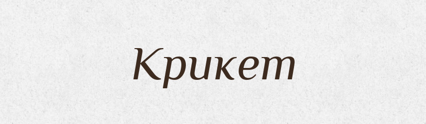 Крикет — Російсько-український академічний словник (А–П)
