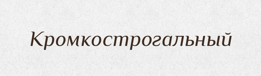 Кромкострогальный — Російсько-український академічний словник (А–П)