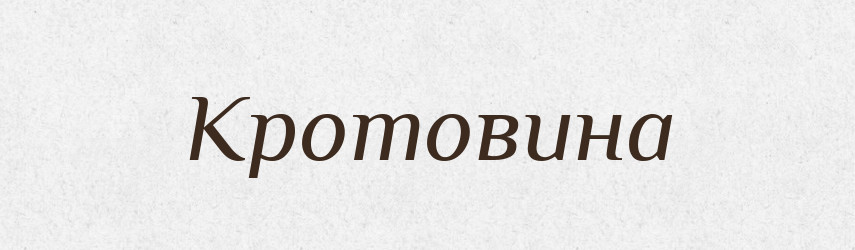 Кротовина — Російсько-український академічний словник (А–П)