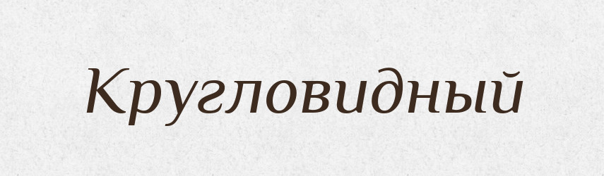 Кругловидный — Російсько-український академічний словник (А–П)