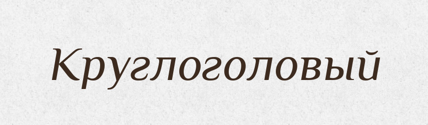 Круглоголовый — Російсько-український академічний словник (А–П)