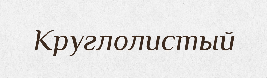 Круглолистый — Російсько-український академічний словник (А–П)