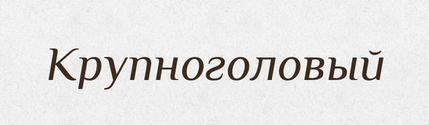 Крупноголовый — Російсько-український академічний словник (А–П)