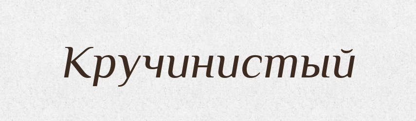 Кручинистый — Російсько-український академічний словник (А–П)