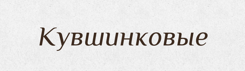 Кувшинковые — Російсько-український академічний словник (А–П)