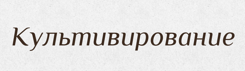 Культивирование — Російсько-український академічний словник (А–П)