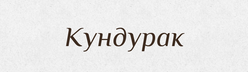 Кундурак — Російсько-український академічний словник (А–П)