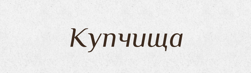 Купчища — Російсько-український академічний словник (А–П)