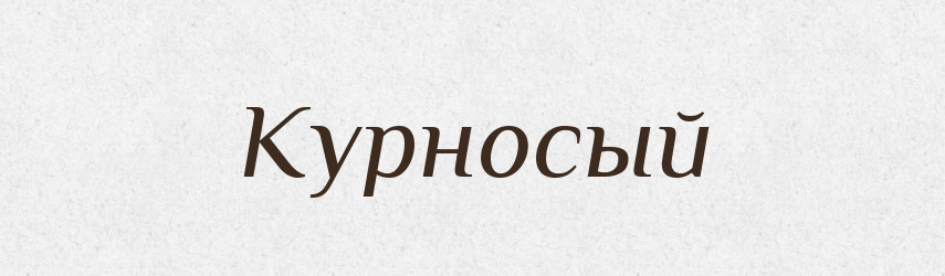 Курносый — Російсько-український академічний словник (А–П)