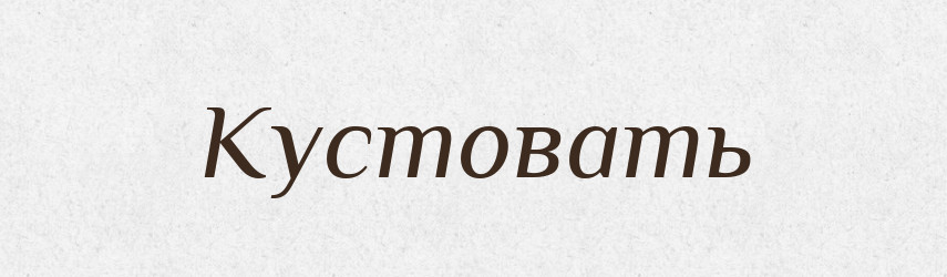 Кустовать — Російсько-український академічний словник (А–П)