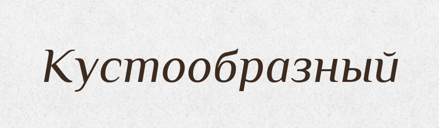 Кустообразный — Російсько-український академічний словник (А–П)