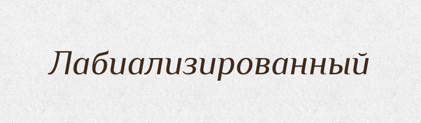 Лабиализированный — Російсько-український академічний словник (А–П)