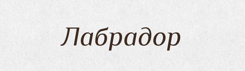 Лабрадор — Російсько-український академічний словник (А–П)