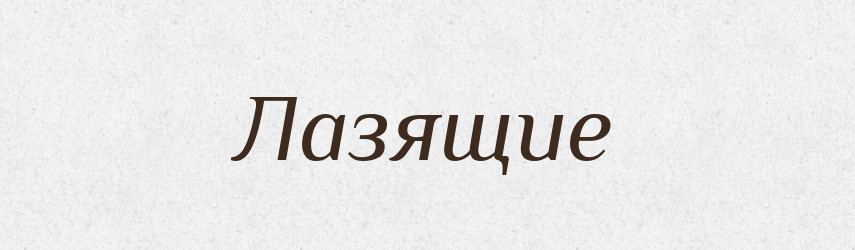 Лазящие — Російсько-український академічний словник (А–П)