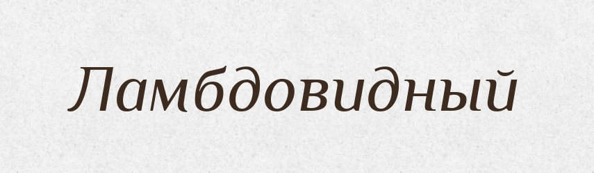 Ламбдовидный — Російсько-український академічний словник (А–П)